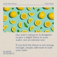Obrilo Water Enhancer Liquid Flavoring Drops - ZERO Sugar/Calorie, Dye Free, Naturally Flavored Drink Syrup, 2.0 fl oz x 2 Bottles for Kids & Adults (Lemonade)