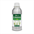 Calamus Oil (Acorus Calamus) Therapeutic Essential Oil by Salvia 100% Natural Uncut Undiluted Pure Cold Pressed Aromatherapy Premium Oil - 500ML/ 16.9fl oz
