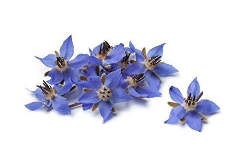 US Organic Borage seed Oil (18% GLA), Certified Organic, Pure & Natural, Cold Pressed, aka Starflower oil (128 Ounce (1 gallon))