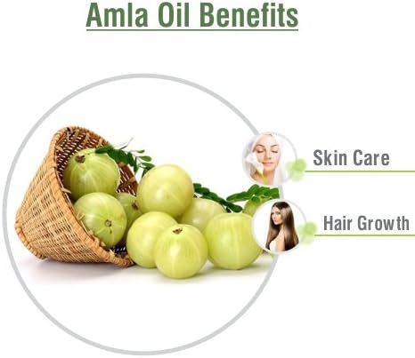 Amla (Emblica Officinalis) Essential Oil 100% Pure & Natural Undiluted Uncut Oil | Use for Aromatherapy | Therapeutic Grade (15 ml (0.50 Ounce))