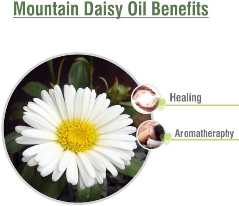Salvia Mountain Daisy (Celmisia Spectabilis) Essential Oil 100% Pure & Natural (30ml)