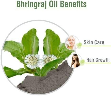 Salvia Bhringraj Oil (Eclipta alba) 100% Pure & Natural - Undiluted Uncut Cold Pressed Premium Oil Use for Aromatherapy, Skin Care & Hair - Therapeutic Grade (250 ML (8.45351))