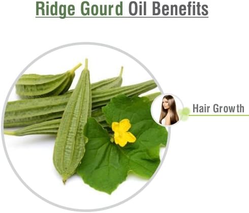 Salvia Ridge Gourd (Lufa Acutangula) Carrier Oil 100% Pure & Natural - Undiluted Uncut Cold Pressed Oil - Therapeutic Grade (0.050 floz with dr)