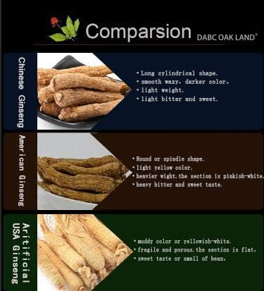 1LB=453gm/Box Hand-Selected Wisconsin Farmed Ginseng Root | Pearl Small 威斯康辛州 西洋参 花旗参 礼盒装 |Cultivated Wisconsin American Ginseng WI 069# Box