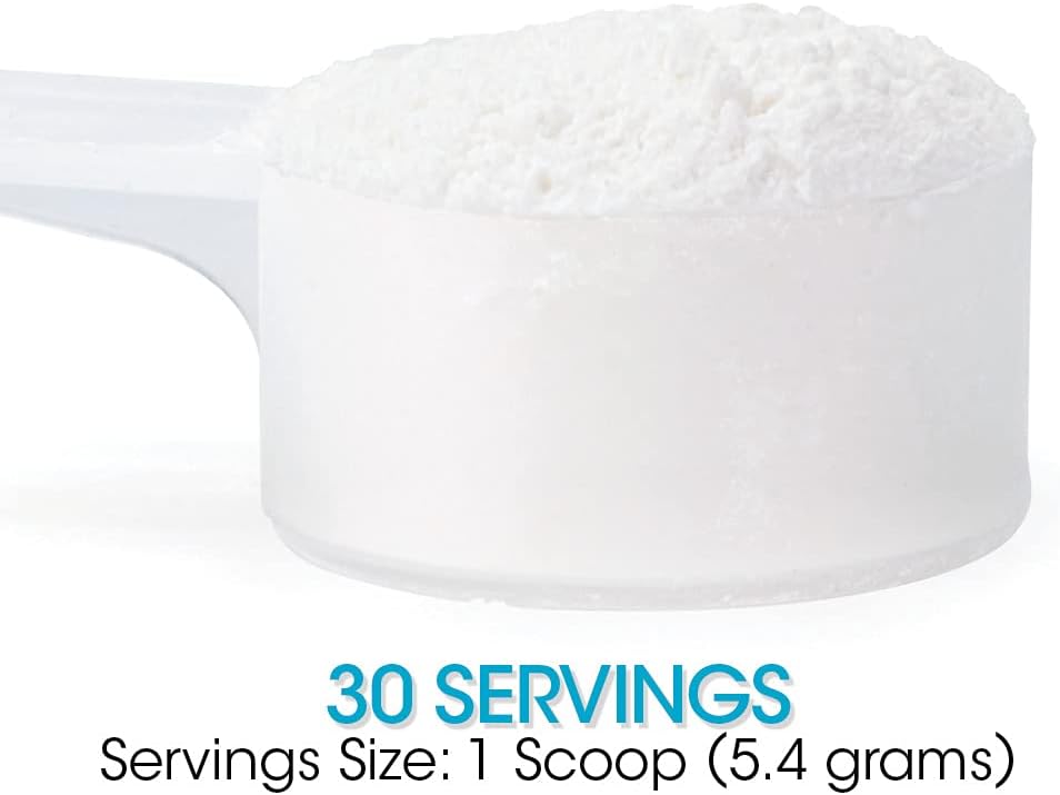 Silver Fern Gut Repair - Digestive Health Supplement Powder L-Glutamine, Curcumin, Zinc, Ascorbic Acid Blend