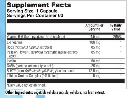 Nutra Biogenesis Stress Factors - GABA Supplements for Women & Men, L Theanine Calm Relaxation Support for Adults, 100mg L-Theanine & 25mg GABA Per Pill - 60 Veggie Capsules