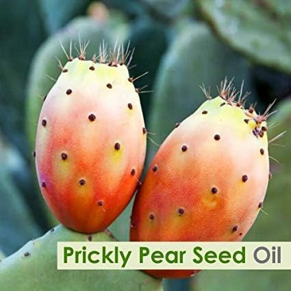 Salvia Prickly Pear Seed (Opuntia Ficus-Indica) Essential Oil 100% Pure, Undiluted and Organic - Natural, Premium Aromatherapy Oil - Therapeutic Grade - 15 ML with Dropper