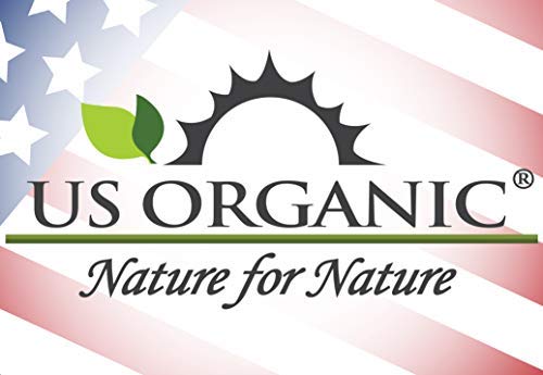 US Organic 100% Pure Rosemary Essential Oil, USDA Certified Organic 100% Pure, Steam Distilled, for Hair Growth, Scalp, Face, Skin, and Aromatherapy (Size Variations Available) (15 ml)