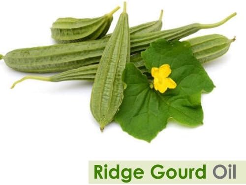 Salvia Ridge Gourd (Lufa Acutangula) Carrier Oil 100% Pure & Natural - Undiluted Uncut Cold Pressed Oil - Therapeutic Grade - 30 ML