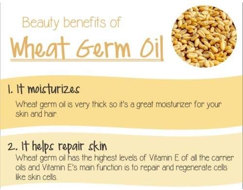 Wheat Germ (Triticum aestivum) Essential Oil 100% Pure & Natural Undiluted Uncut Cold Pressed Oil | Use for Aromatherapy (0.51 Fl Oz (Pack of 1))