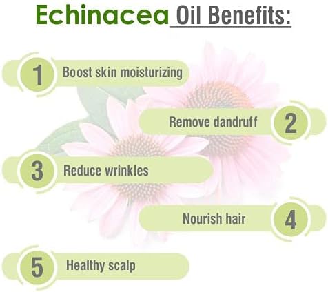 Salvia Echinacea Oil Pure and Natural Echinacea Oil Extract | Hair Care (Clean, Smooth and Silky Hair) | Skin Care (Hydrate, Nourish, Protect Skin) - 30 ML echinacea_30ml