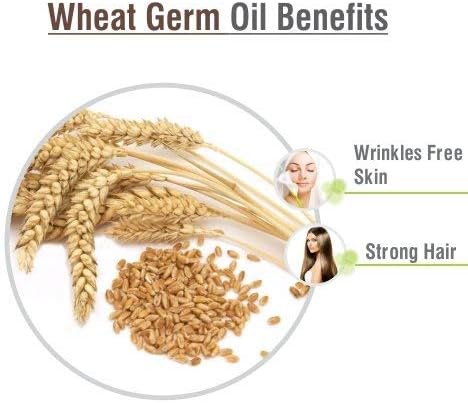 Wheat Germ (Triticum aestivum) Essential Oil | Pure & Natural Undiluted Uncut Cold Pressed Oil | Use for Aromatherapy & Skin | Therapeutic Grade (50ml with Dropper)