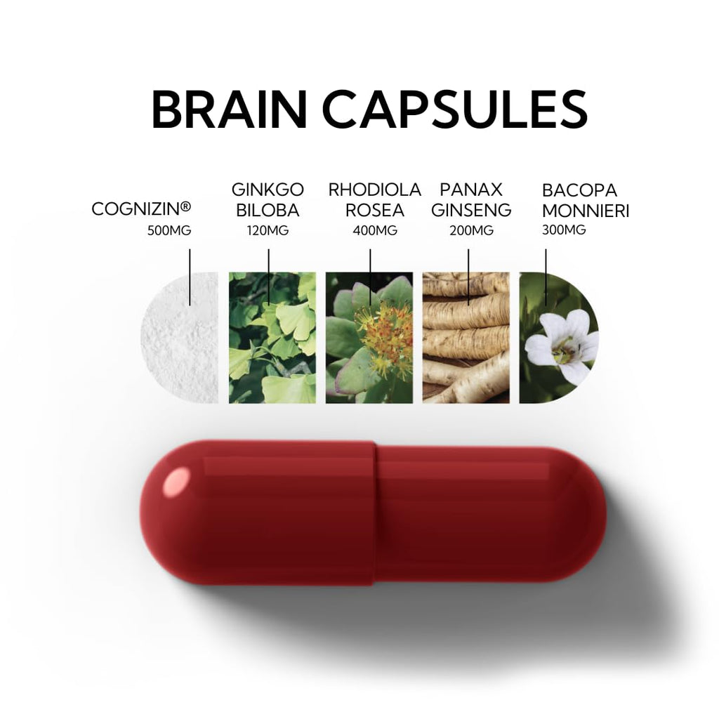 Neutonic Nootropic Brain Supplement | 1 Month Supply 90 Capsules | For Men and Women | Support Memory, Mental Clarity, Cognitive Function | Boost Focus, Energy, Brain Health