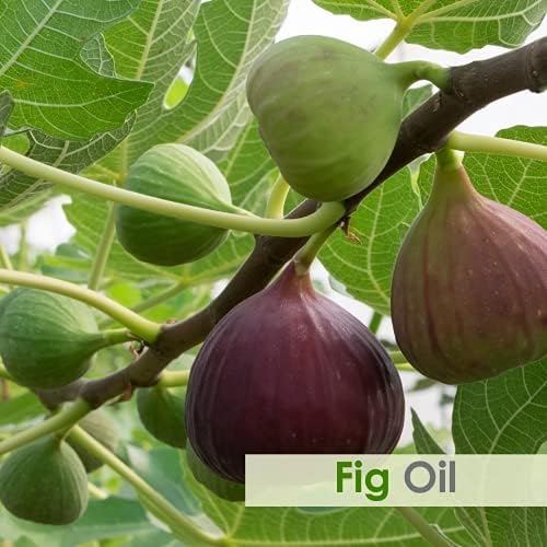 Salvia Fig Oil, 30 ML - Pure and Natural for Skin Care (Moisturize, Nourish, Rejuvenate) and Hair Care (Prevent Dry Brittle and Split Ends) - Aromatherapy Oil