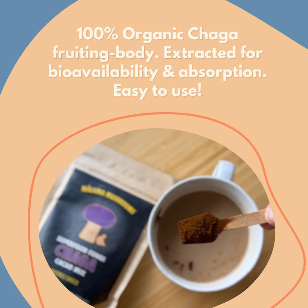 Malama Organic Mushroom Hot Cacao Mix, Chaga Mushroom Powder with Fair Trade Cacao for Immune & Antioxidant Support – Vegan Supplement & Superfood, Non GMO, 3.5 oz (50 Servings)