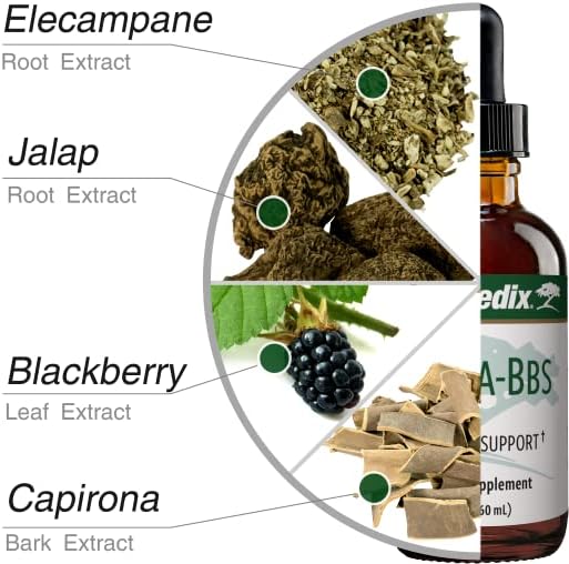 Nutramedix Nutra BBS - Liquid Herbal Supplement for Digestive & Immune Support - Elecampane Root & BlackBerry Leaves Extract for Gut Health - Immunity Booster Supplement (60mL)