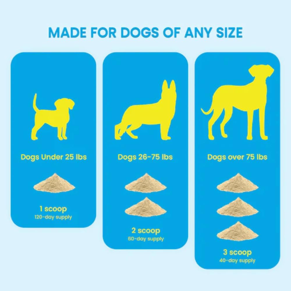 Advanced Hip and Joint Supplement for Dogs | Chondroitin, Vitamin and Glucosamine for Dogs | Dog Joint Supplement for Health + Mobility | 120 Scoops