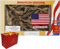 8OZ=227g/Box American Wild Ginseng 15~20 Years, Wisconsin Whole Ginseng Root Hand-Selected | 美国威斯康辛州野生西洋参 花旗参 野泡参 大号 |Cultivated American Wisconsin Ginseng Lager WI 126#L 8OZ/Box