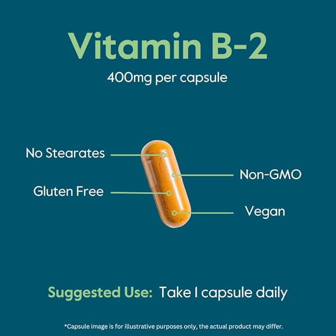 BESTVITE Vitamin B-2 (Riboflavin) 400mg (240 Vegetarian Capsules) (120 x 2) - High Potency – Energy, Skin & Cellular Health – Healthy Nervous System Support – Vegan – Gluten Free - No Stearates