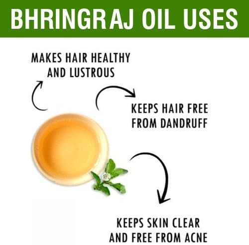 Salvia Bhringraj Oil (Eclipta alba) 100% Pure & Natural - Undiluted Uncut Cold Pressed Premium Oil Use for Aromatherapy, Skin Care & Hair - Therapeutic Grade (3.38 fl oz)