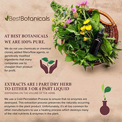 Best Botanicals Red Clover Blossoms Whole 16 oz. (Organic)