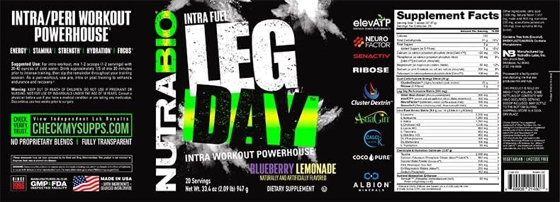 NutraBio Leg Day Intra Workout Powder – Advanced Carb Supplement with Cluster Dextrin & Electrolytes – Carb Powder with EAAs/BCAAs – Cyclic Dextrin for Performance – Blueberry Lemonade, 20 Servings