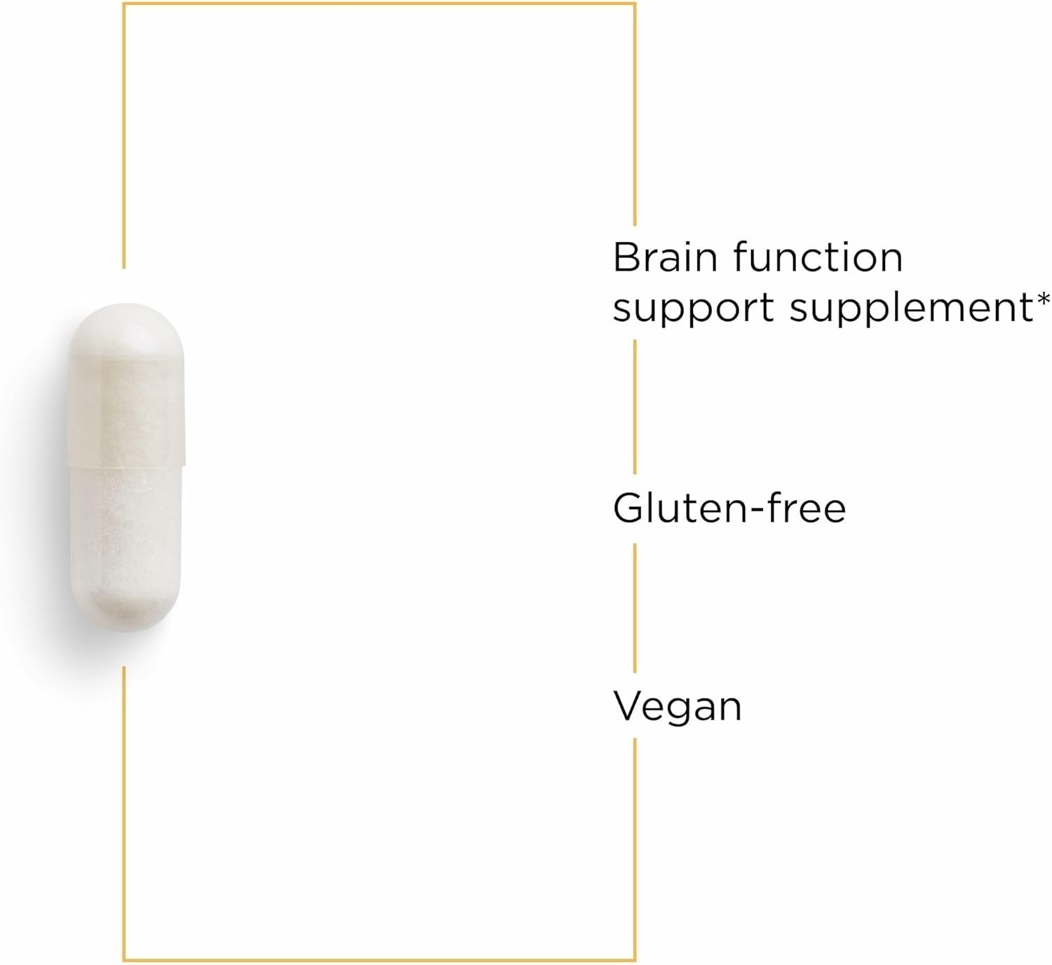 Integrative Therapeutics Acetyl L-Carnitine - Supports Healthy Cellular Energy Production* - Supports Nerve Cell Function* - Vegan, Gluten-Free & Dairy-Free - 60 Capsules (30 Servings)