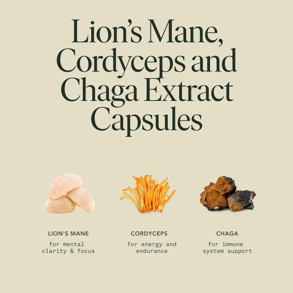 Mushroom Supplement with Lions Mane, Chaga & Cordyceps, Focus, Energy & Brain Support, Adaptogens Capsules, 100% USDA Organic Mushrooms Complex Blend - Vegan, Glass Jar 120 Caps, 2 Month Supply