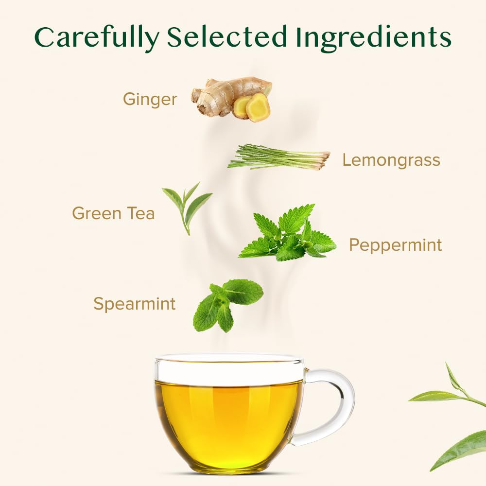 VAHDAM, Ginger Mint Green Tea Loose Leaf (50+ Cups, 3.5oz) Blend Of Ginger Tea & Mint Tea | Pure Green Tea Leaves | High Elevation Grown | Vacuum Sealed