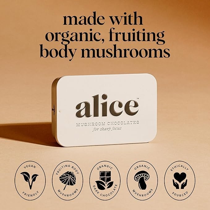 Brainstorm 4-Pack | Functional Mushroom Chocolates | Energy Bites for Focus, Clarity & Cognitive Function | Lions Mane, Cordyceps, Guarana & Phosphatidylserine, Natural Caffeine