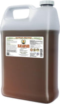 Elecampane Alcohol-Free Liquid Extract, Organic Elecampane (Inula Helenium) Dried Root Glycerite Hawaii Pharm Natural Herbal Supplement 64 oz