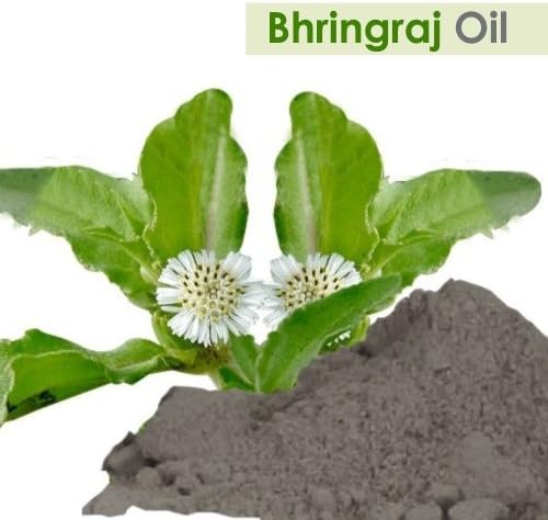 Salvia Bhringraj Oil (Eclipta alba) 100% Pure & Natural - Undiluted Uncut Cold Pressed Premium Oil Use for Aromatherapy, Skin Care & Hair - Therapeutic Grade (3.38 fl oz)
