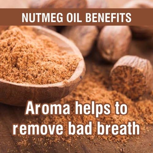 Salvia Bulk Nutmeg (Myristica Fragrans) Oil - 250ml/8.45Fl Oz