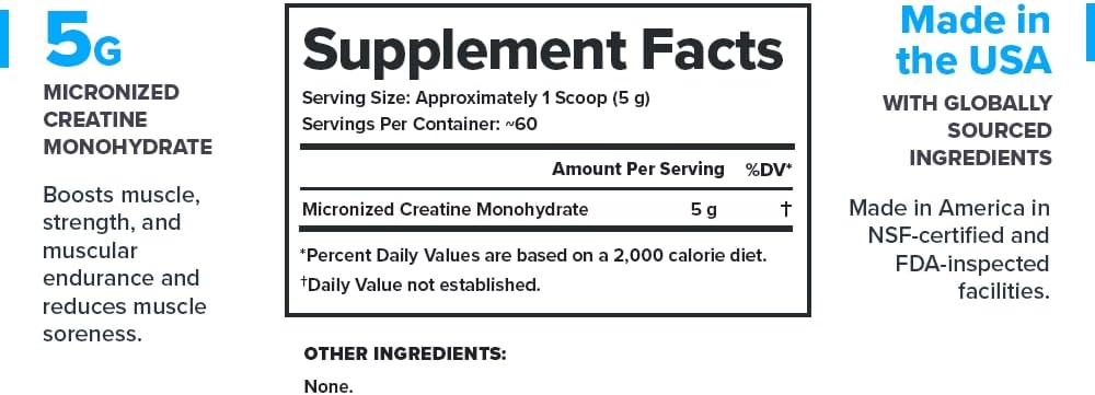 LEGION Micronized Creatine Monohydrate Supplement - Clean Creatine Powder for Muscle Gain & Post Workout Recovery - Micronized Creatine Supplement for Maximum Absorption (60 Servings, Unflavored)