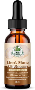 Lion’s Mane Mushroom Extract Tincture – 250mg – Dual Extracted Nootropic Supplement – Liquid Hericium Erinaceus for Focus, Memory & Brain Support, Vegan, Non-GMO, Sugar & Alcohol-Free Drops – 1oz