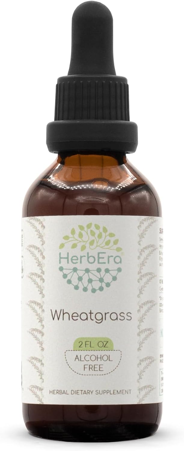 Wheatgrass B60 Alcohol-Free Herbal Extract Tincture, Concentrated Liquid Drops Natural Wheatgrass (Triticum aestivum) Dried Leaf (2 fl oz)