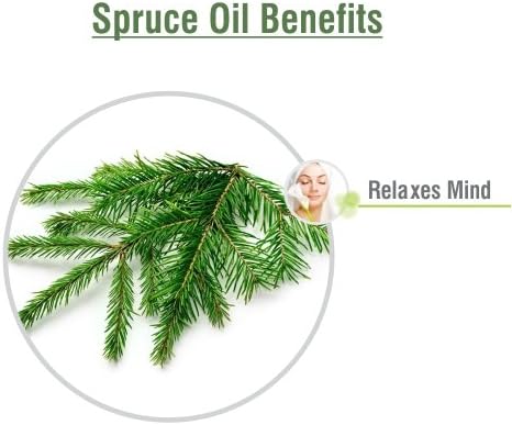 Salvia Spruce (Picea) Oil - 30ml/1.014Fl Oz