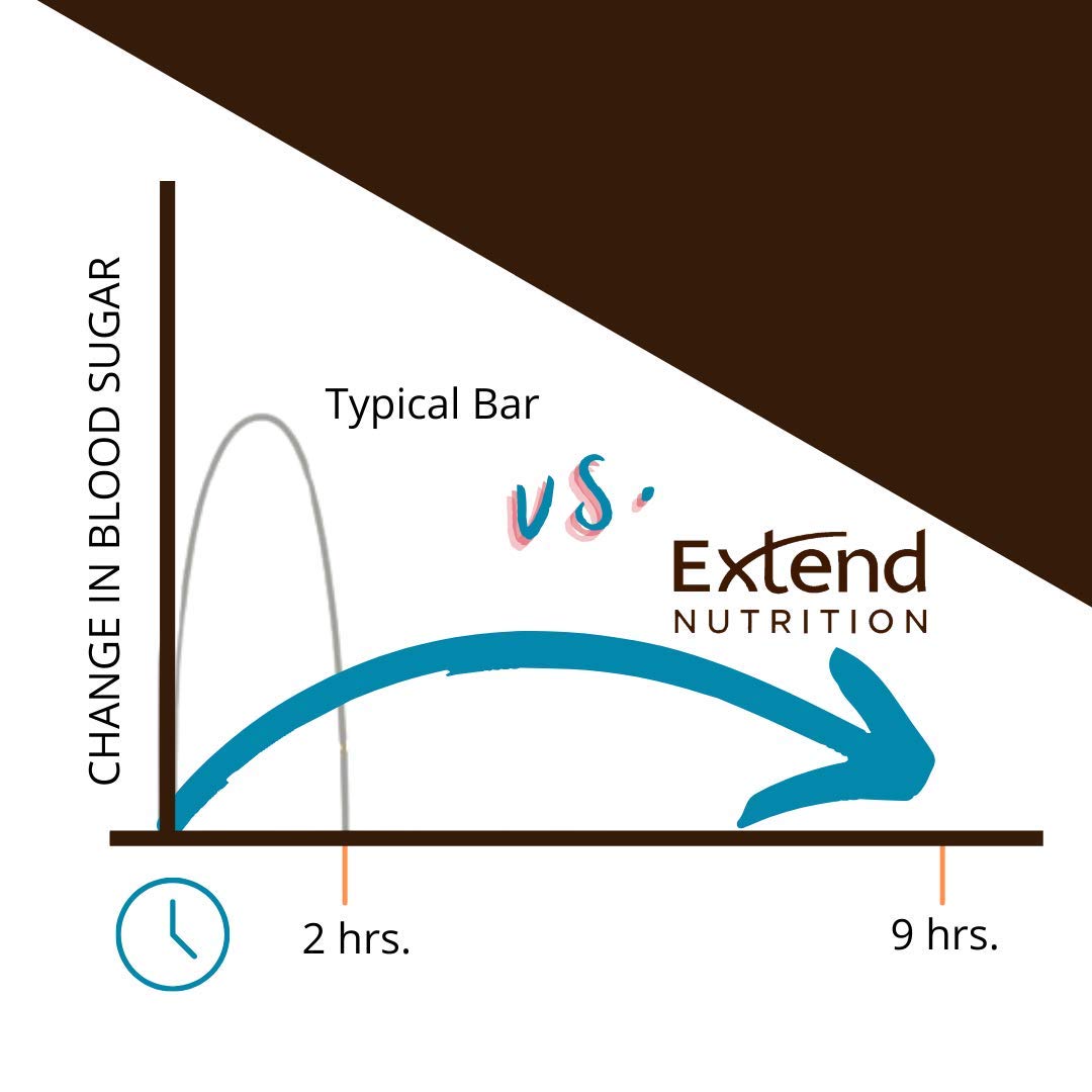Extend Nutrition Sugar Free High Protein Bars, Perfect Sugar Free Snacks for Diabetes, Protein Bars for Hunger Control & Steady Energy, Low Carb, Keto, Intermittent Fasting, Rich Chocolate, 12 Count
