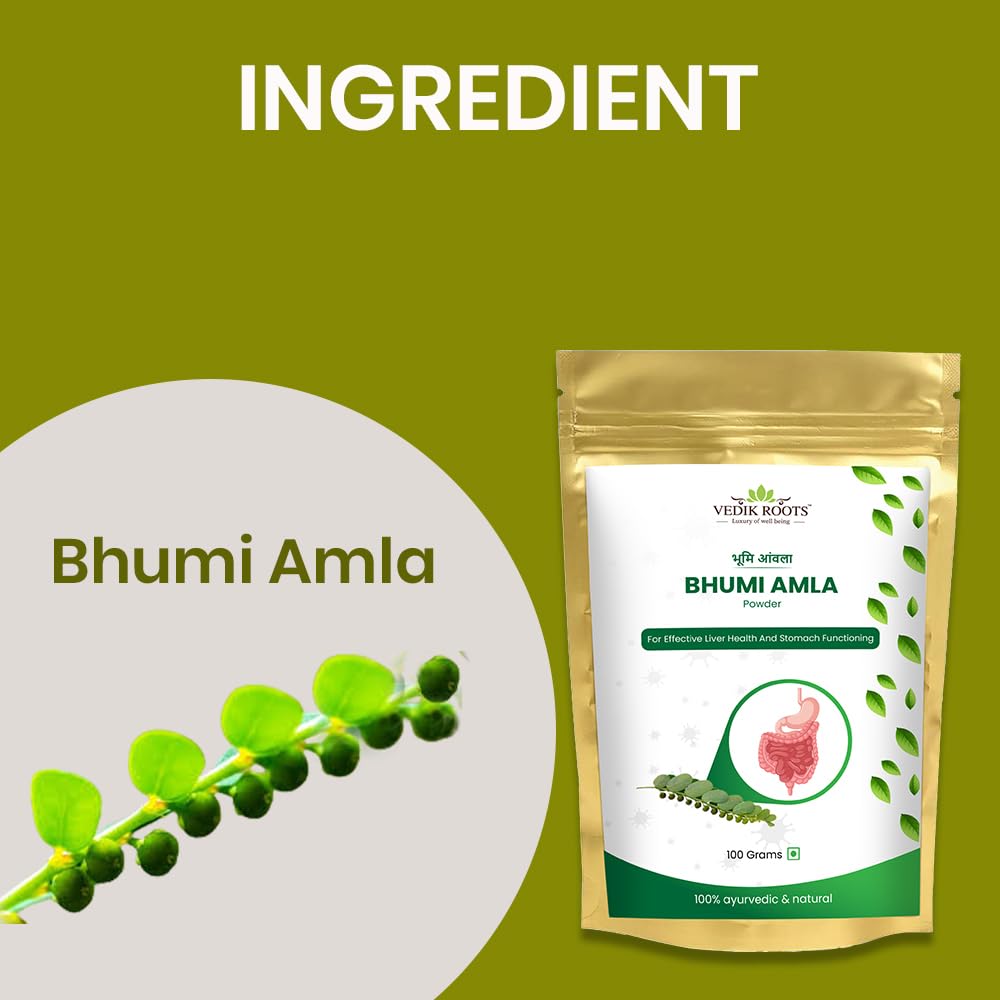 Vedikroots Bhumi Amla Powder/Churn - Organic And Pure Ingredient Extract For Healthy Liver Functioning And Digestive Strength Enriched With Essential Nutrients (100 GM) (100 g (Pack of 1))