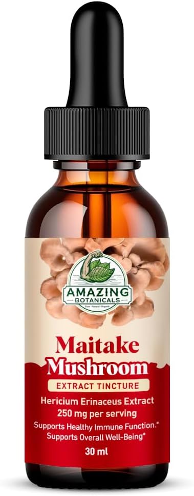 Amazing Botanicals Maitake Mushroom Extract – Liquid Maitake Supplement for Daily Wellness – Vegan, Alcohol-Free, Sugar-Free Drops – 1 fl oz