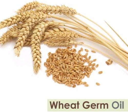 Wheat Germ (Triticum aestivum) Essential Oil 100% Pure & Natural Undiluted Uncut Cold Pressed Oil | Use for Aromatherapy (0.51 Fl Oz (Pack of 1))