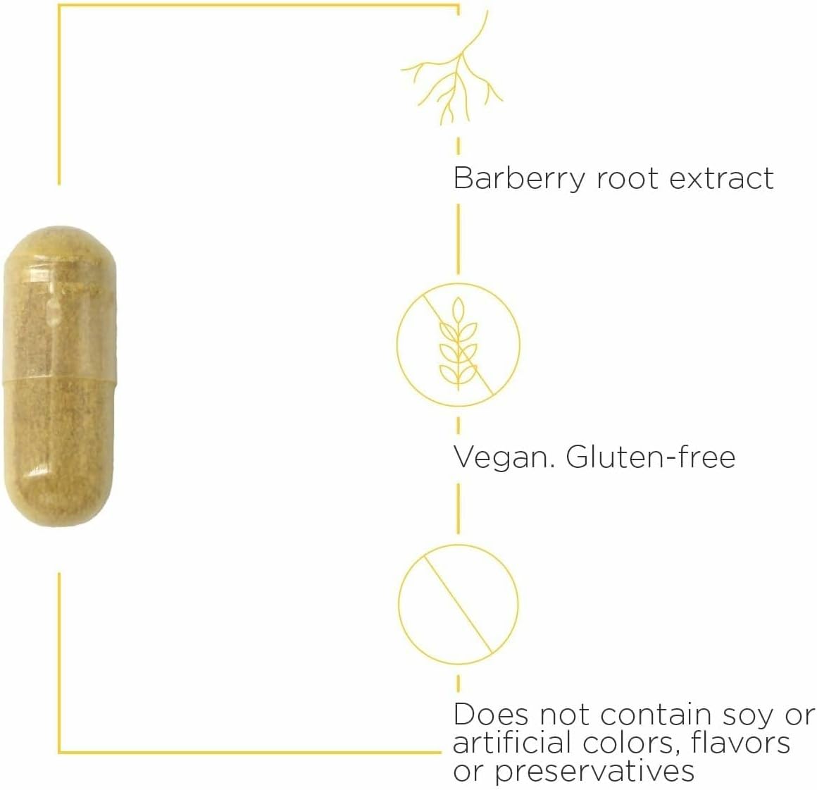 Integrative Therapeutics Berberine Complex - Digestive & Gut Health Supplement* - Vegan, Gluten-Free & Dairy-Free - 90 Capsules (45 Servings)