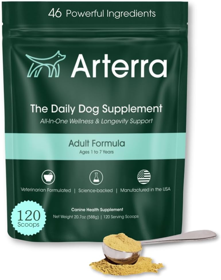 Adult Dog Powder Supplement & Food Topper – 46 Ingredients for Gut, Immune & Brain Health – Daily Longevity Multivitamin for Whole Body Wellness | 120 Scoops