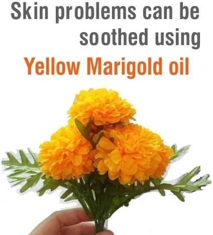 Salvia Yellow Marigold (Tagetes erecta) Oil - 30ml/1.014Fl Oz