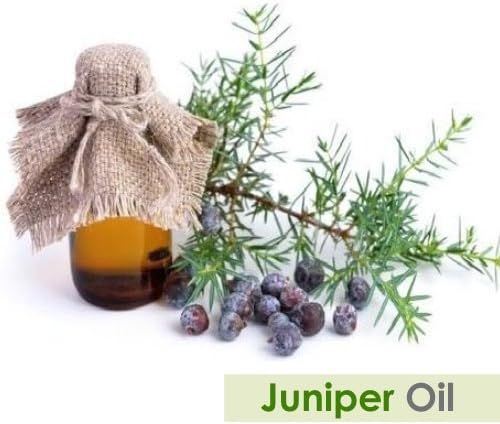 Salvia Juniper Berry (Juniperus) Oil - 15ml/0.507Fl Oz