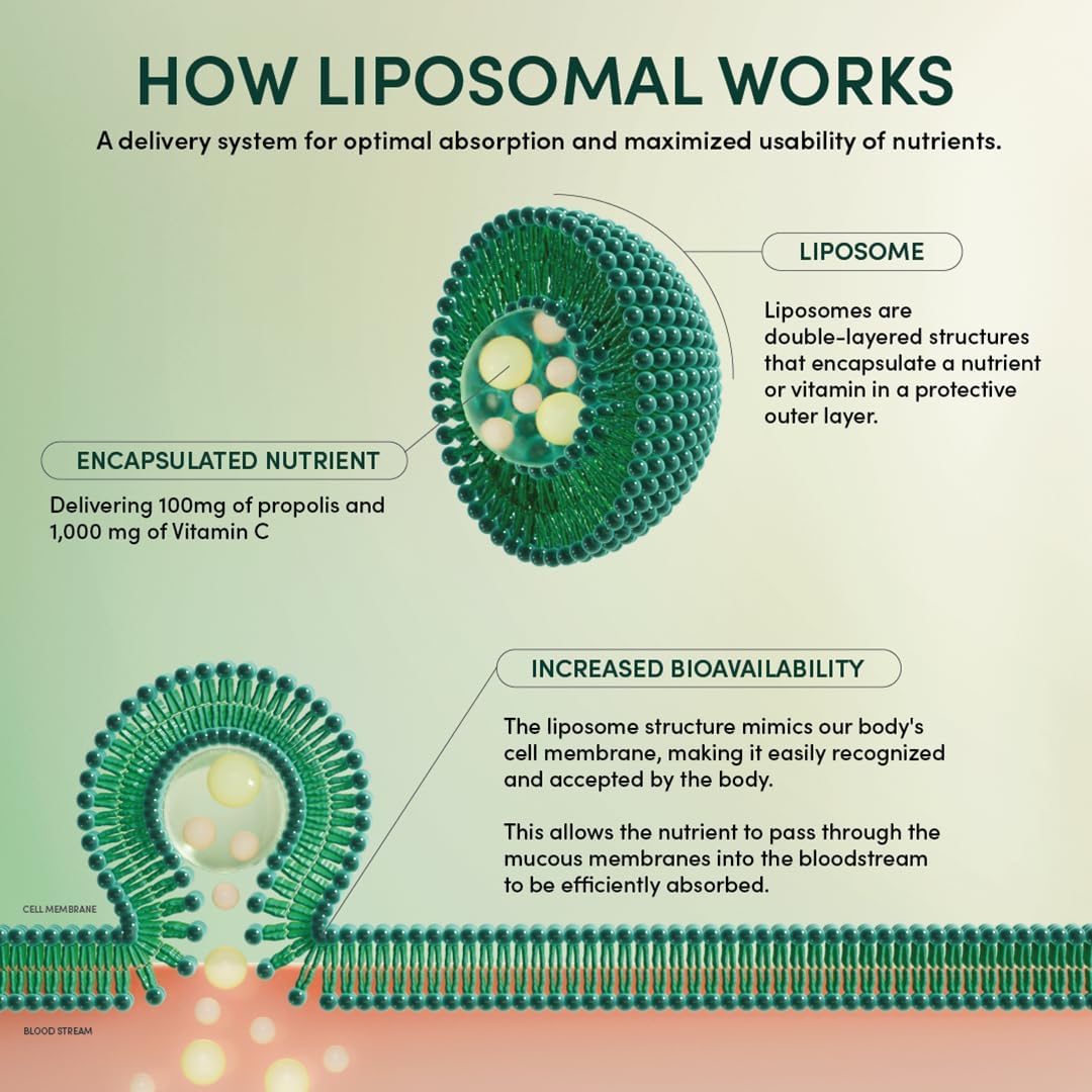 Propolis Liposomal Vitamin C by Beekeeper's Naturals, 1000mg Vitamin C, Propolis & Organic Honey, Supercharged Immune Support & Increased Bioavailibity for Max Absorption, 30 Ct