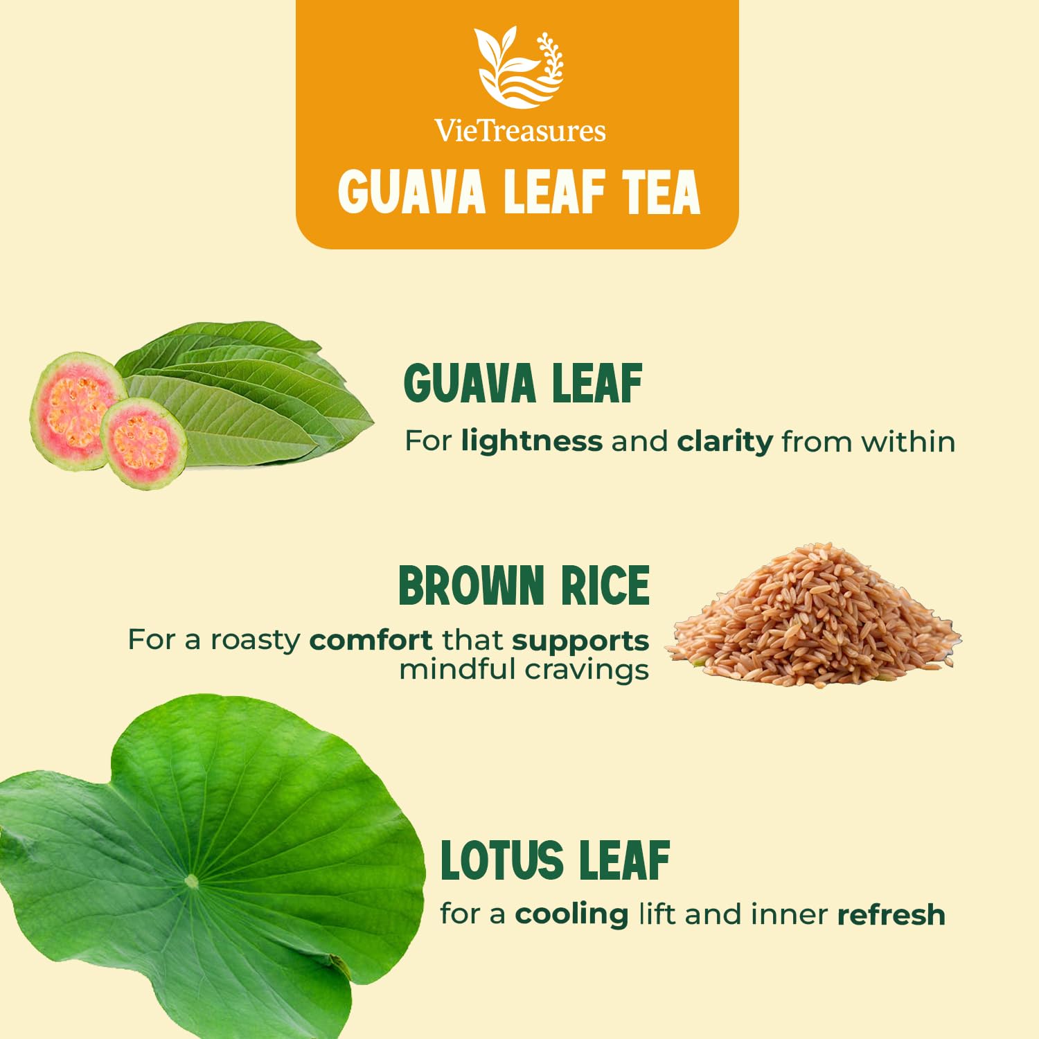 VieTreasures Guava Leaf Fit Tea – 2.8oz (40 Tea Bags) | With Brown Rice, Lotus Leaf & Stevia | Caffeine-Free, Vegan, Sugar-Free, Non-GMO Herbal Tea for Digestion, Detox & Weight Balance