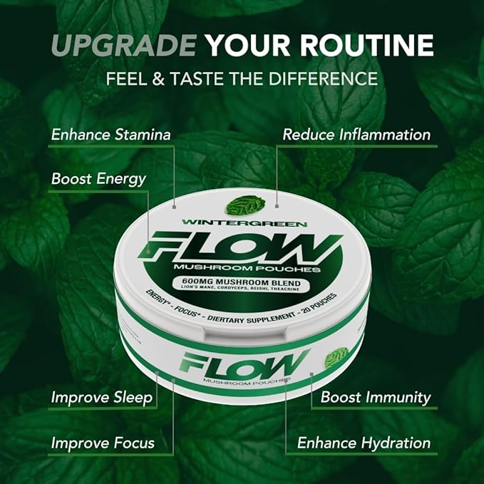 Mushroom Nootropic Pouches - 600mg Organic Mushroom Energy Ultra Pouches with Lion's Mane, Reishi, Cordyceps for Focus & Clean Energy - Zero Caffeine or Sugar (5 Can Pack, Wintergreen)