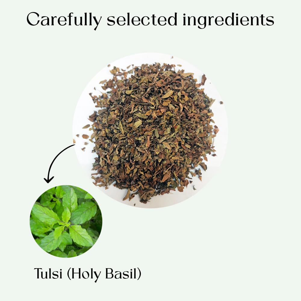 Tulsi Holy Basil Tea Bags 100 Count For Cognitive Balance & Overall Health Ayurvedic Tulsi With Antioxidants Caffeine Free Holy Basil Leaves Pyramid Herbal Tea Bags Support Digestion & Boost Immunity