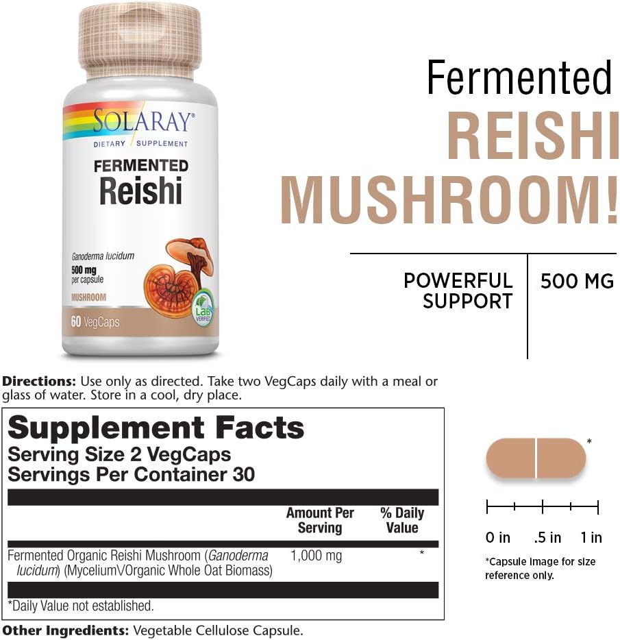 SOLARAY Fermented Reishi Mushroom 500mg | Healthy Immune, Heart & Brain Function Support | Energy & Mood Supplement | 60 VegCaps